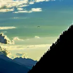 Ginepro Aprica