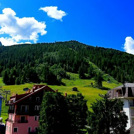 Ginepro Aprica